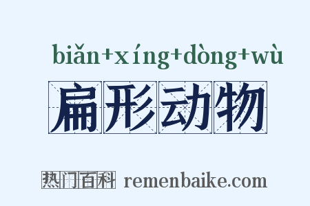 扁形动物是什么意思的图片